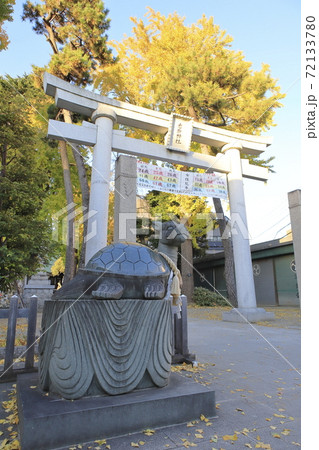 秋の亀有香取神社　狛犬（狛亀）　東京都葛飾区 72133780