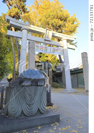 秋の亀有香取神社 狛犬(狛亀) 東京都葛飾区 秋の亀有香取神社 狛犬(狛亀) 東京都葛飾区 72133781
