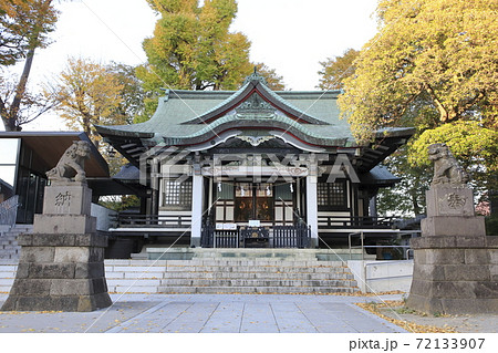 秋の亀有香取神社　本殿　東京都葛飾区亀有 72133907