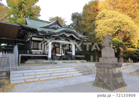 秋の亀有香取神社　本殿　東京都葛飾区亀有 72133909