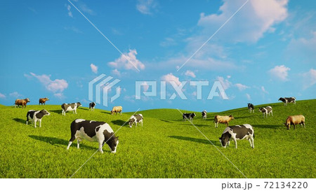 Herd of dairy cows on green pasture at daytime 3D 72134220
