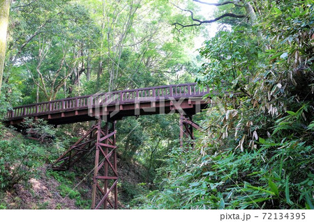 滝山城 72134395