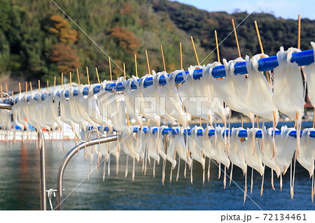 山陰島根県美保関でのイカの天日干し 72134461
