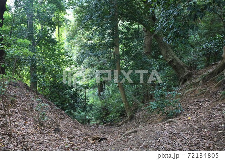 金ケ崎城 72134805