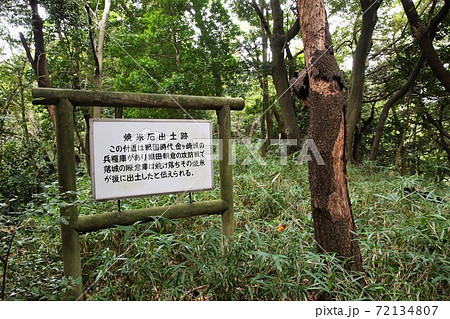 金ケ崎城 72134807