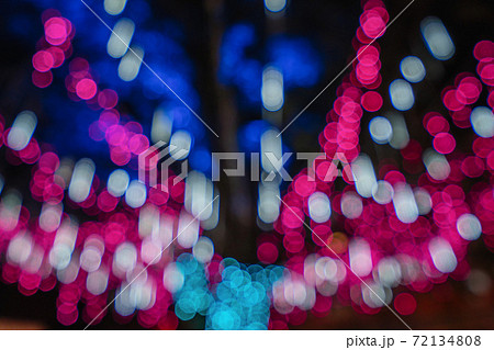 クリスマスホーリー クリスマス・ホーリー クリスマスツリー 72134808