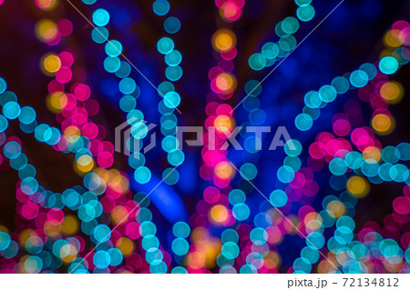 クリスマスホーリー クリスマス・ホーリー クリスマスツリー 72134812