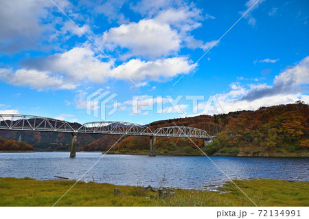 御母衣湖畔の紅葉・岐阜県 御母衣湖畔の紅葉・岐阜県 72134991