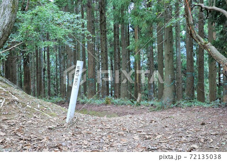 玄蕃尾城 72135038