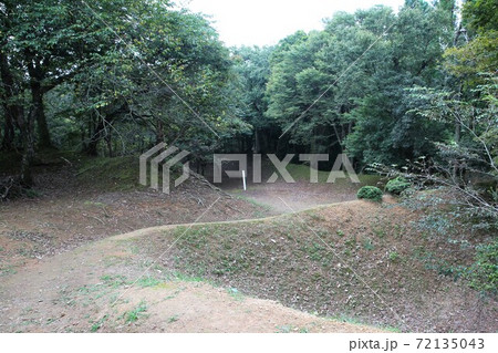 玄蕃尾城 72135043