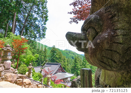 谷汲山華厳寺、満願堂からの眺め〈岐阜県揖斐郡〉 谷汲山華厳寺、満願堂からの眺め〈岐阜県揖斐郡〉 72135125