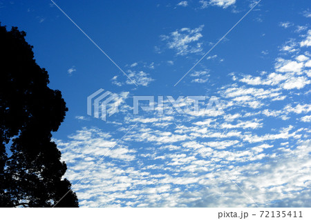 初秋の青空 72135411