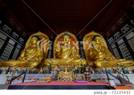 長楽寺(但馬三大佛) 長楽寺(但馬三大佛) 72135433