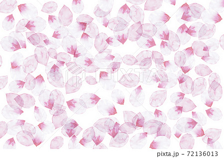 たくさん重なる桜の花びらのイラスト素材