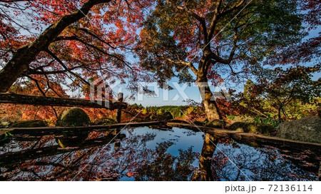 長崎・三十路苑の紅葉 長崎・三十路苑の紅葉 72136114