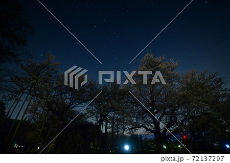 北杜市武川町、神代桜と昇ってきた北斗七星 72137297