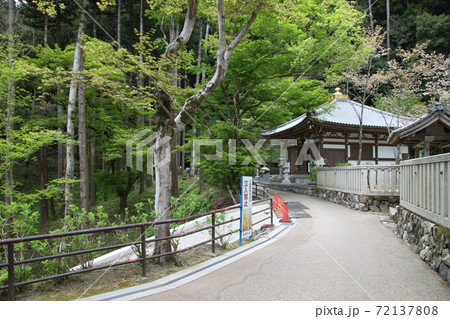 長谷寺 長谷寺 72137808