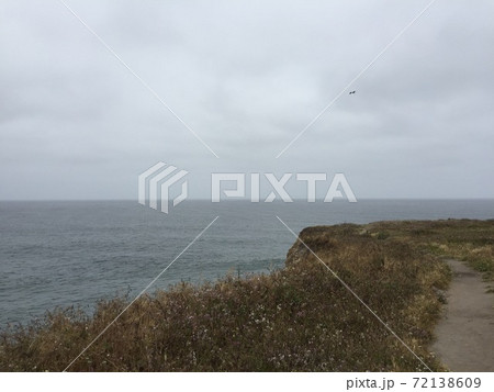 大きな海を臨む崖と海鳥 大きな海を臨む崖と海鳥 72138609