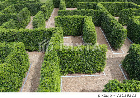 Labyrinth maze garden. Build from the treeの写真素材 [72139223