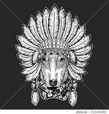 Bullterrier, dog. Indian tribal traditional headdress with feathers. 72140303