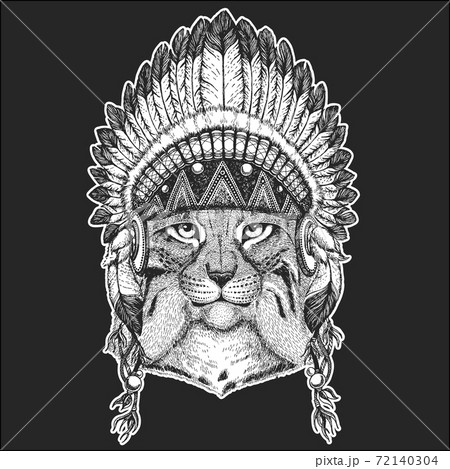 Lynx, bobcat, trot portrait. Head of wild cat. Indian tribal traditional headdress with feathers. 72140304