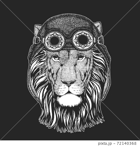 Lion Head Aviator Leather Helmet Wild Animal のイラスト素材