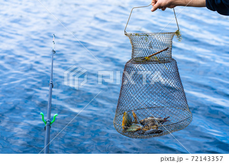 Fish catch in a net box. Fishing hobby and leisure. Silent hunting Fish catch in a net box. Fishing hobby and leisure. Silent hunting 72143357
