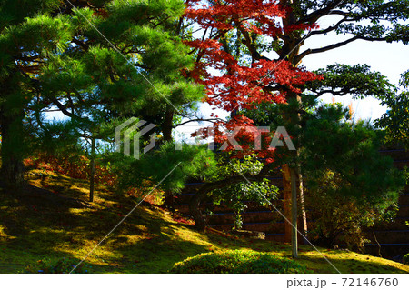 京都市中京区の元離宮二条城(世界遺産)の風景、お城、二条城、京都、歴史【12月】 京都市中京区の元離宮二条城(世界遺産)の風景、お城、二条城、京都、歴史【12月】 72146760