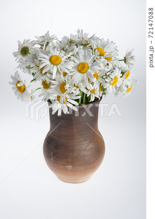 Camomiles And Ceramic Vase Camomiles And Ceramic Vase 72147088