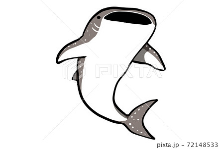ジンベエザメのイラストのイラスト素材