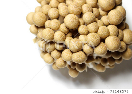 白背景　ぶなしめじ 72148575