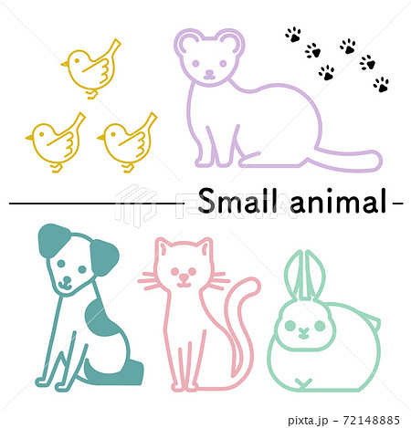 小鳥とフェレットと犬と猫とウサギのシンプルなイラストのイラスト素材