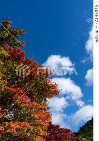 鈴鹿スカイライン沿いの鮮やかな紅葉と青空のコピースペース 鈴鹿スカイライン沿いの鮮やかな紅葉と青空のコピースペース 72149045