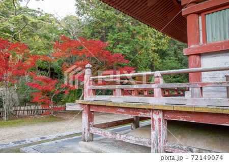 秋の神戸・太山寺・三重塔と紅葉 72149074