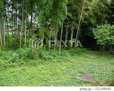 花島公園 72149840