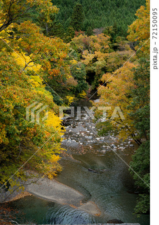 野洲川源流域の秋の渓谷風景 野洲川源流域の秋の渓谷風景 72150095