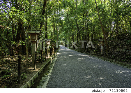 大神神社　参道　奈良県桜井市 72150662