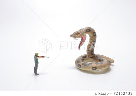 a mini of figure man shooting the big snake a mini of figure man shooting the big snake 72152435