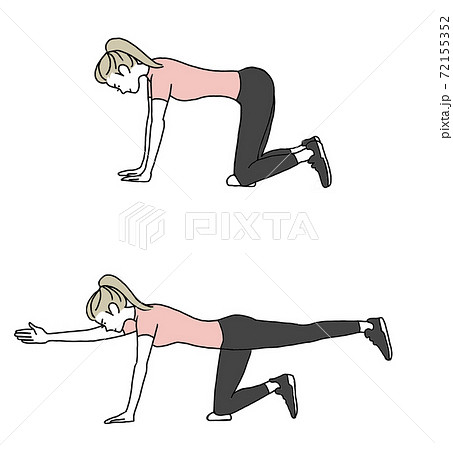 ヒップエクステンション 72155352