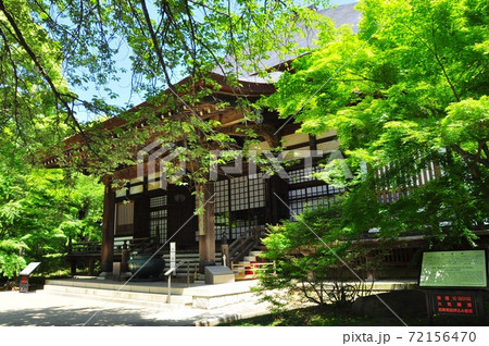 世田谷区　九品仏浄真寺の本堂と新緑 72156470