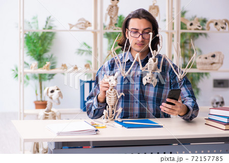 Young male teacher paleontologist in the classroom 72157785