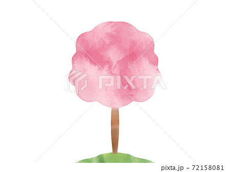 桜の木 72158081