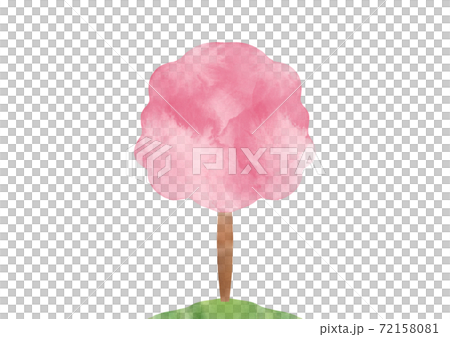 桜の木 72158081