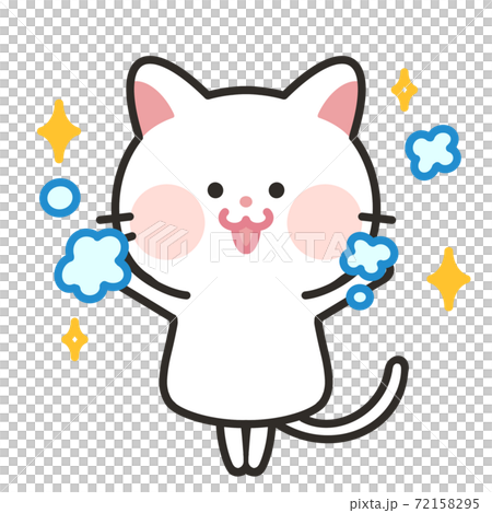 手洗い ばんざい 綺麗好き猫 衛生的な猫 手洗い ばんざい 綺麗好き猫 衛生的な猫 72158295