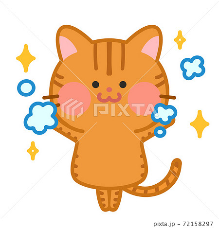 手洗い ばんざい 綺麗好き猫 衛生的な猫のイラスト素材
