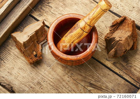 Tinder fungus in herbal medicine Tinder fungus in herbal medicine 72160071