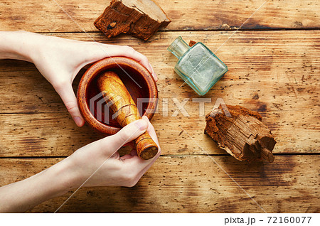 Tinder fungus in herbal medicine 72160077