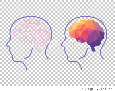 人体・脳科学のイメージ 72161962