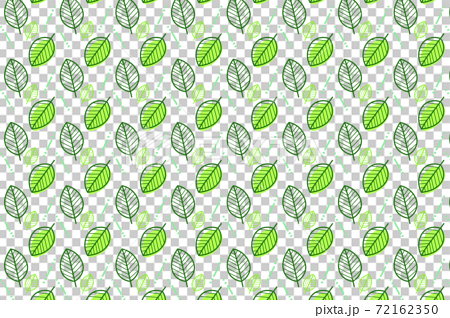 緑の葉っぱのシームレスパターン（スウォッチ素材） 72162350