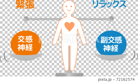 自主神經人體圖副交感神經交感神經 72162574